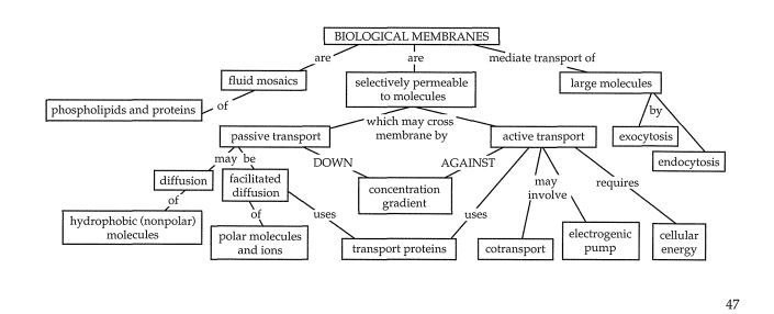 Flow Chart